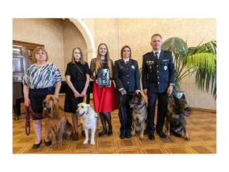 Nominujte psí hrdiny do Statečné ankety srdce