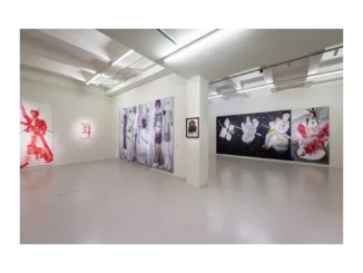 Petrbokova výstava 'Deník pacienta' v DOXu