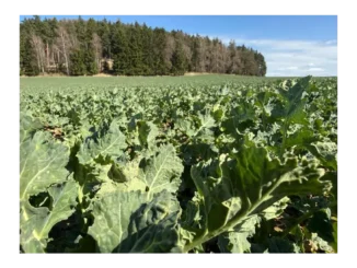 Cesty k efektivitě v českém zemědělství 2026