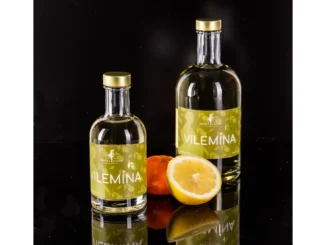 Vilemína znovu na Zámku Zelená hora – ochutnejte historii