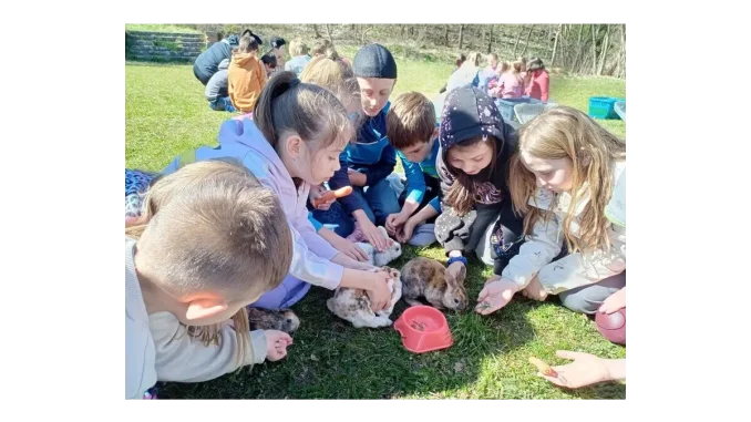 Environmentální vzdělávání dětí v Ústeckém kraji