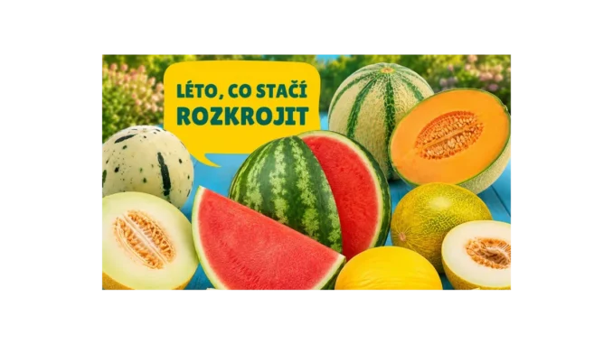 Jak BILLA radí skladovat meloun pro skvělou chuť