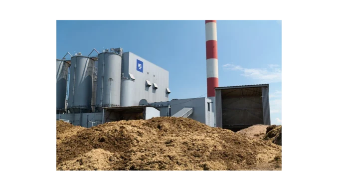 Biomasa jako klíčová alternativa v energetice ČR