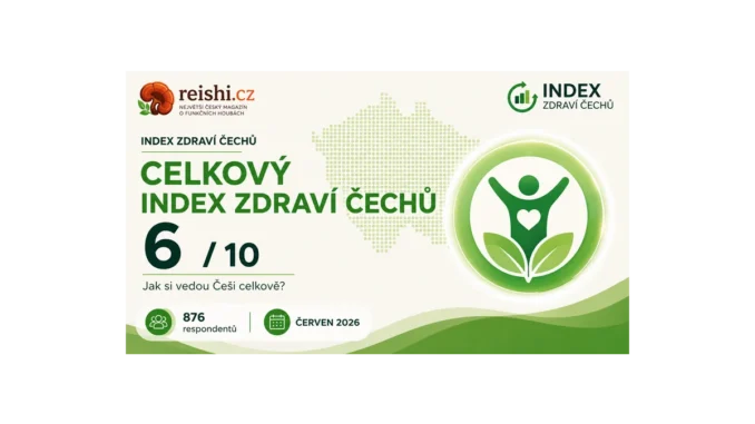 Index zdraví: Češi potřebují více spánku a energie