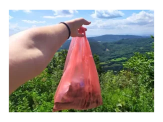 Zapojte se do úklidu a podpořte ekologii v Česku